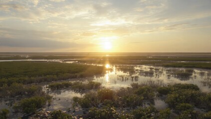 Obraz premium Sunset Over Mangrove Wetlands