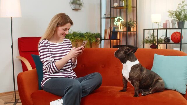 Middle-aged woman frames French bulldog at home takes sharp photo on smartphone makes quick edit and saves to gallery. Girl dog on sofa looks at camera cute eyes calm vibe sweet bond simple care daily