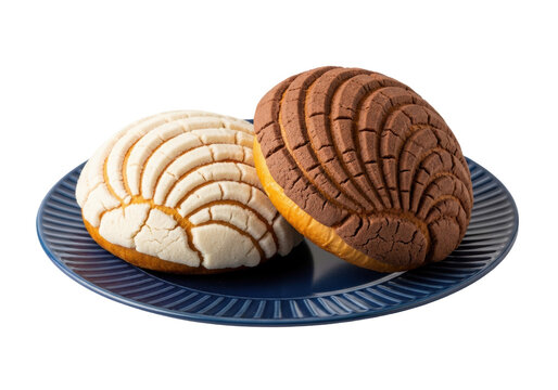 Two traditional mexican conchas with vanilla and chocolate sugar toppings on a dark blue ceramic plate against a white background mexican culinary tradition