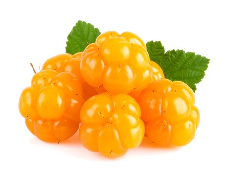 Close-up of fresh cloudberries with green leaves on white background, white background