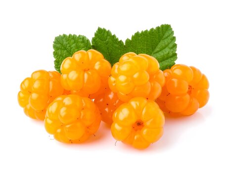 Fresh cloudberries in a white background, white bowl with, green leaves
