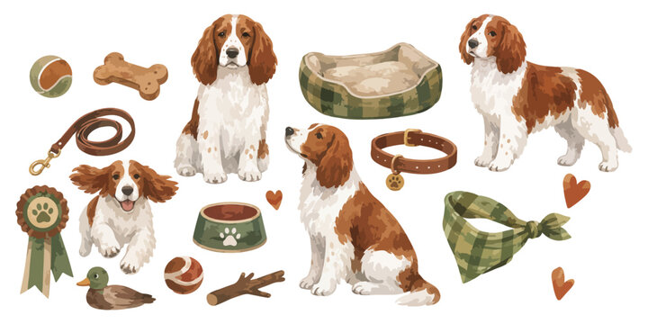 Cute Springer Spaniel Dog Watercolor Clipart Collection