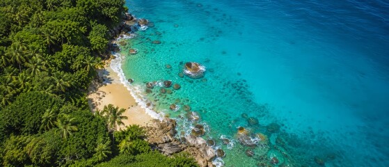 Fototapeta premium Aerial view of a secluded tropical cove with dense palm forest bordering a pristine sandy beach, turquoise shallow waters revealing coral reefs and rocky outcrops.