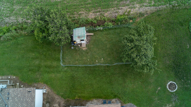 A direct overhead drone photograph looking down at a wooden chicken coop and fenced pen nestled between two mature green trees on a vast residential lawn bordering a rural agricultural field.