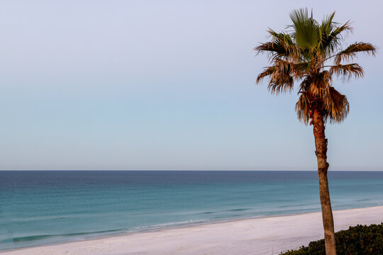 Beach shoreline with a lone palm tree and calm turquoise water at dusk captured with long exposure, creating smooth waves and a serene coastal atmosphere.