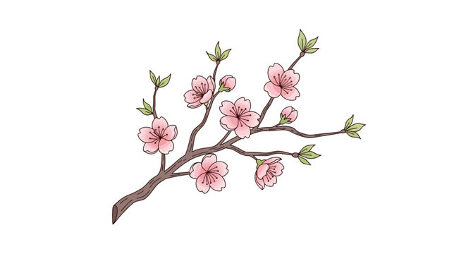 Delicate Cherry Blossom Branch with Pink Flowers and Green Leaves, Spring Floral Illustration
