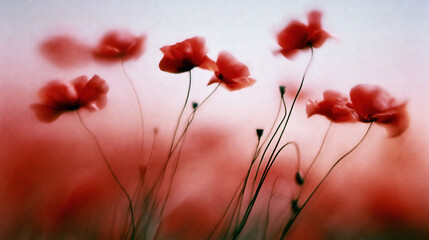 Naklejka premium Soft Focus Poppy Field at Dusk