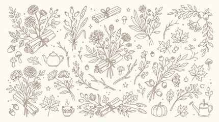 Autumnal botanical elements and decorative motifs in a hand-drawn sketch style. © Bara
