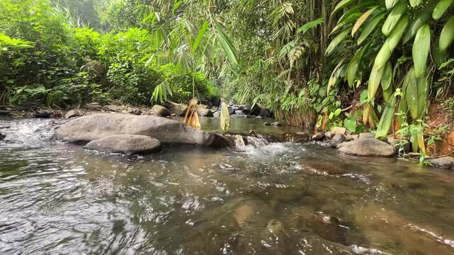 Mountain water flow in a fresh green tropical forest with natural stones and natural green moss.