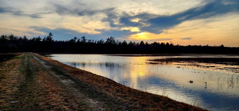 A Golden Sunset Over a Calm Marshy Wetland Landscape Reflecting Tranquility and Natural Serenity