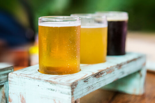 Beer sampler