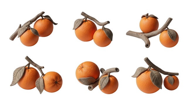 various compositions of oranges sculpted with leaves and branches arranged on a white background educational or creative projects