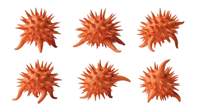 orange spiky sphere models in various positions white background used to make these alien like forms illustration or science concept?