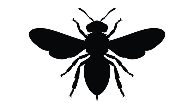 Detailed black silhouette of a flying honey bee isolated on a crisp white background featuring sharp wings and tiny legs in a clean vector graphic style