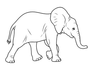 Fototapeta premium Vector of the outline elephant contour. Hand drawn line art elephant isolated on white background, Minimalist coloring pages for kids for brain development 