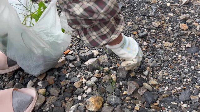 雑草を抜く手