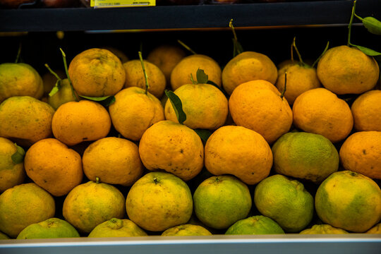 Tangerines Mixed with Green Citrus Fruits