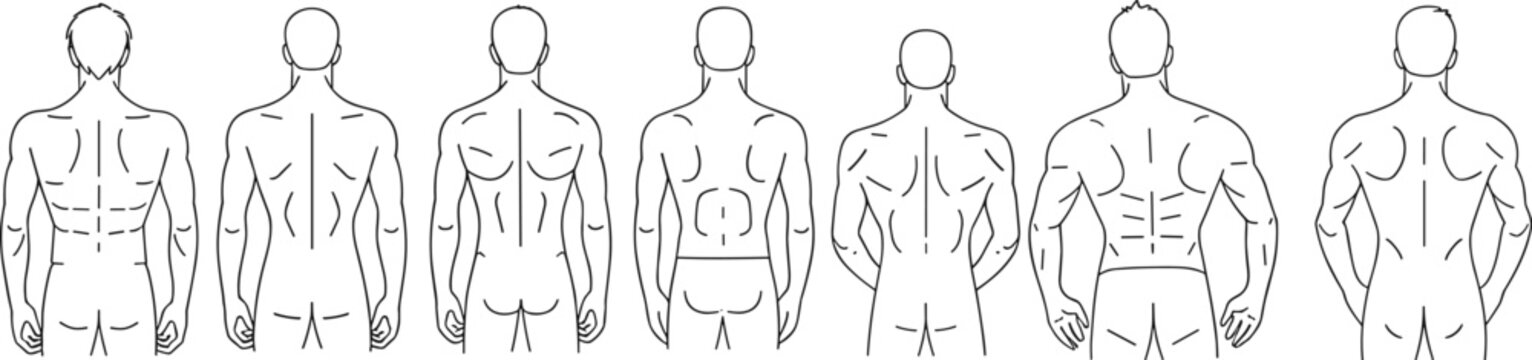 Anatomical Study of Back Musculature: A line drawing illustrating the varying musculature and physique of male backs, from lean to muscular, emphasizing human anatomy and fitness.