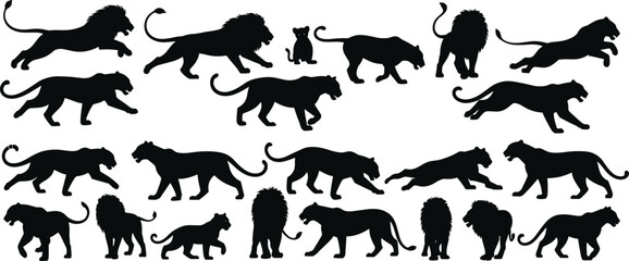 Lion and Big Cat Silhouettes Collection with Walking, Roaring, Sitting, and Jumping Poses Vector Illustration Set for Wildlife, Safari, and Predator Design © Minara