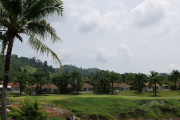 Fototapeta premium Tropical Palm Plantation Landscape in Thailand with Green Hills