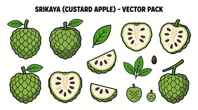 Sugar Apple (Srikaya) Fruit Collection with Whole Fruits, Slices, Seeds and Leaves Cartoon Vector Illustration Set