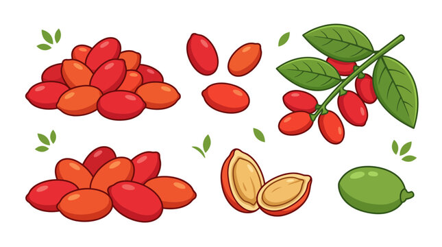 Set of fresh Melinjo seeds and fruits in cartoon style