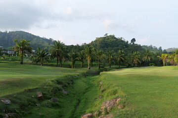 Fototapeta premium Tropical Palm Plantation Landscape in Thailand with Green Hills