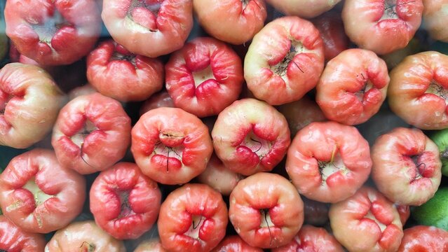 close up view of fresh pink water apples rose apples pile