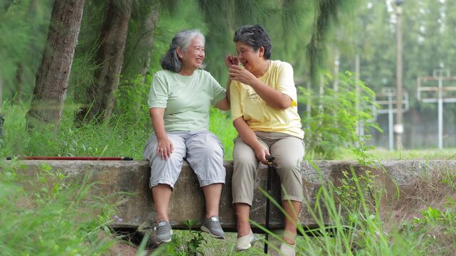 Two elderly Asian women sat laughing and chatting happily on a concrete bridge in a park, showcasing friendship and a healthy lifestyle in retirement.