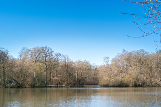 Etang des Graviers in Foret de Port Royal, Montigny, showing a calm pond bordered by winter trees, woodland shoreline and quiet forest scenery in Ile de France, in yvelines, vallee de chevreuse.