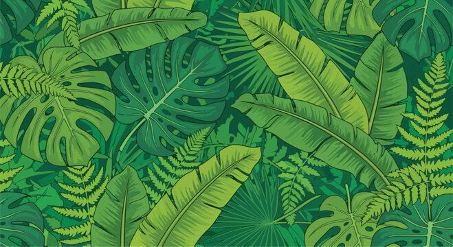 Tropical jungle leaves seamless pattern vector, lush green monstera and palm leaf background, exotic botanical foliage wallpaper for summer textile design
