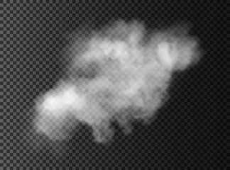 Naklejka premium Fog or smoke isolated transparent special effect. White vector cloudiness, mist or smog background.
