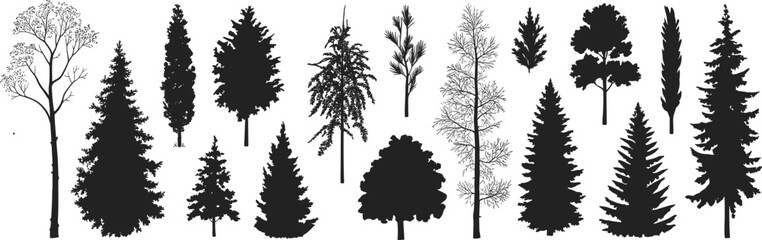 Collection of black silhouettes of various coniferous and deciduous trees Keywords: trees, silhouette, coniferous, deciduous, pine, fir © MostRohida
