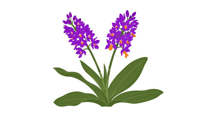 Obraz premium Purple Flower with Green Leaves Illustration.