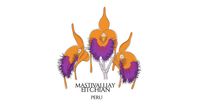 Vibrant purple and orange llama heads.