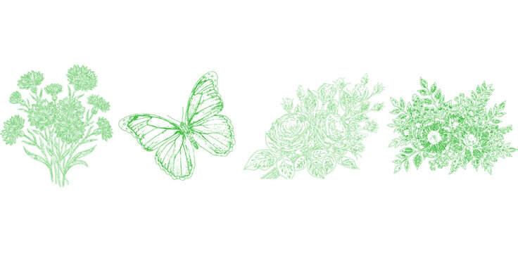 Green Botanical Sketches Set. Vintage Hand Drawn Flowers and Butterfly Elements