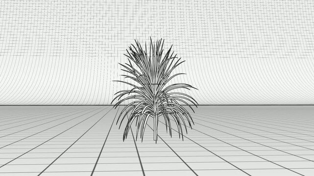3D plant rendering animation transforming from a wireframe grid model into a textured green palm shrub