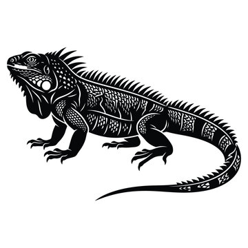 Black and white illustration of an iguana