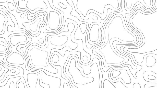 abstract seamless pattern with lines motion video. curve line motion video background. 