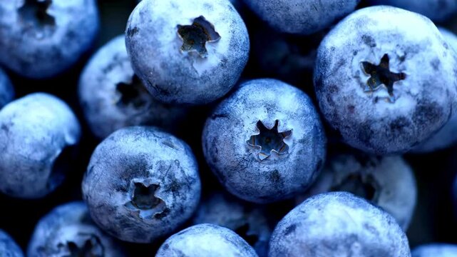Close-up shot of fresh, ripe blueberries, showcasing their vibrant blue color and delicate texture