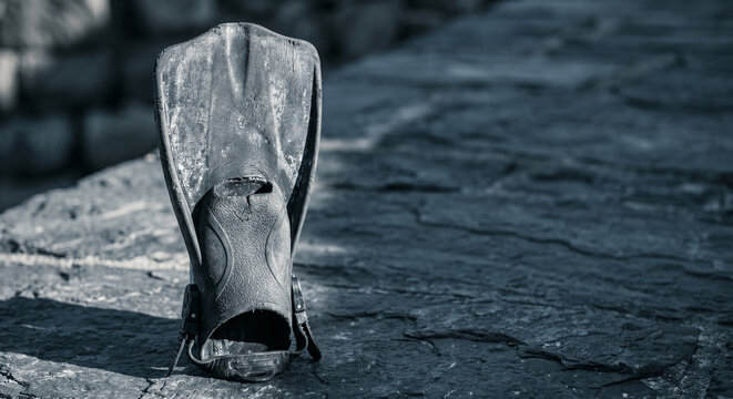 Old weathered scuba diving fin standing on wet slate rock snorkeling water sport concept