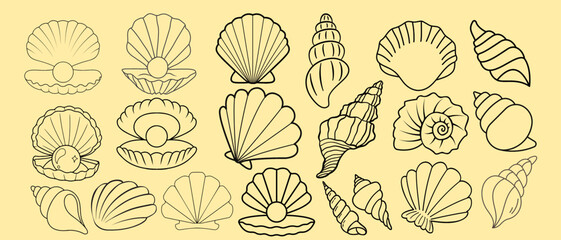 Detailed seashell line art collection featuring oysters, pearls, clams, and scallops. Black and white vector illustrations of marine ocean shells, beach elements, and summer holiday icons. © Taiba