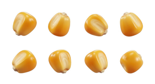 eight kernels of golden yellow corn displayed against a clean white backdrop agricultural or food related uses