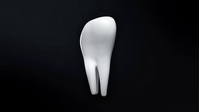 A floating white tooth turning on its vertical axis, smooth rotation emphasizing dental anatomy and clean surfaces, isolated object on pure black background, seamless loop