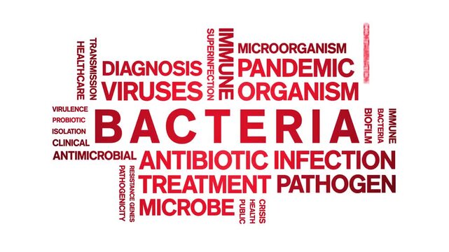Bacteria animated word cloud-text design animation tag kinetic typography seamless loop.
