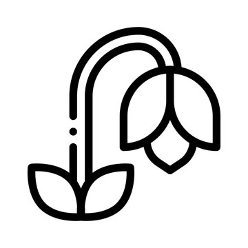 bluebell line icon