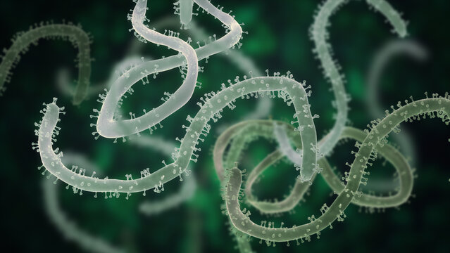 Microscopic view of Ebola Virus, Epidemic contagion, Healthcare and medical background, 3D rendering.