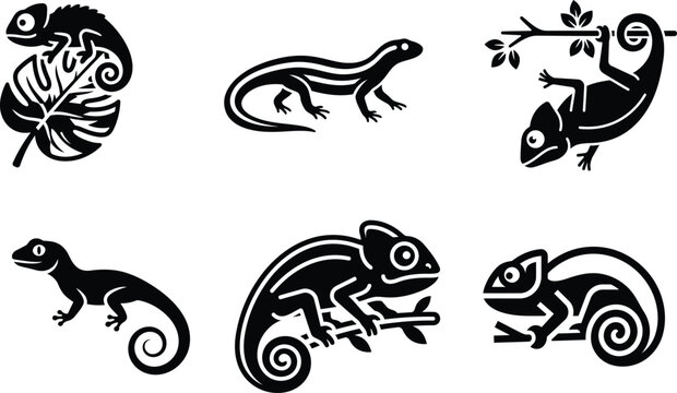 Black silhouettes of various chameleons and lizards on white background