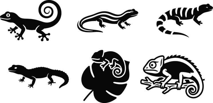 black silhouettes of various lizards and chameleons on white background