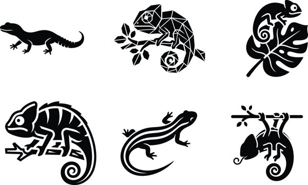 Collection of lizard and chameleon silhouettes and illustrations in various poses  reptiles